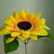 P1010536