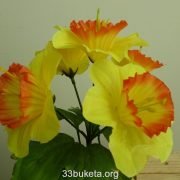 p1010157