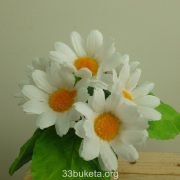 p1010161