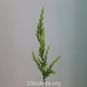 p1010566