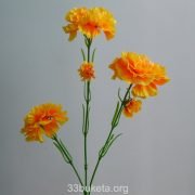 p1010870