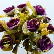 p1020248_0