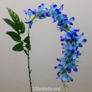 p1020423