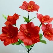 p1020523