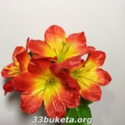 Лилия бордюрная