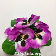 Заливка анютины глазки