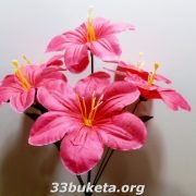P1030593
