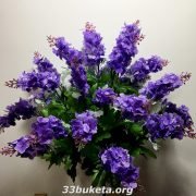 Сирень высокая 24 головы