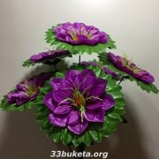 Георгина 6 голов