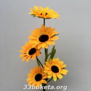 Подсолнух 5-ка