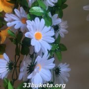 Ромашка