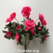 Азалия