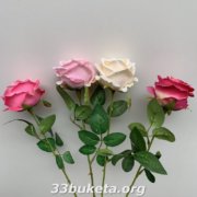 Роза одиночная