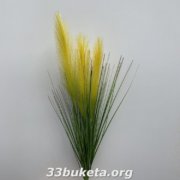 Камыш