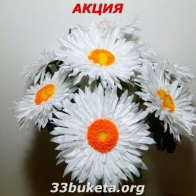 Ромашка
