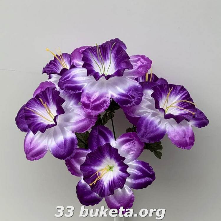 Нарцисс