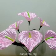p1020551