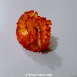Головка гвоздика Ø 7.5 см.
