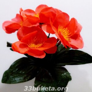 Заливка сакура