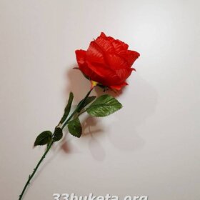 Роза одиночная