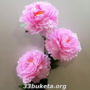 Пион ветка 3-ка