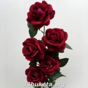 Роза бархат
