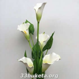 Калла ветка