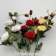 Роза ветка