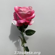 Роза одиночная