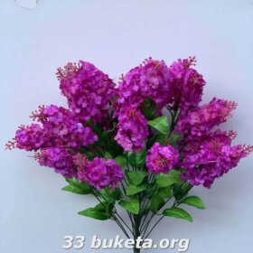 Сирень 24 головы