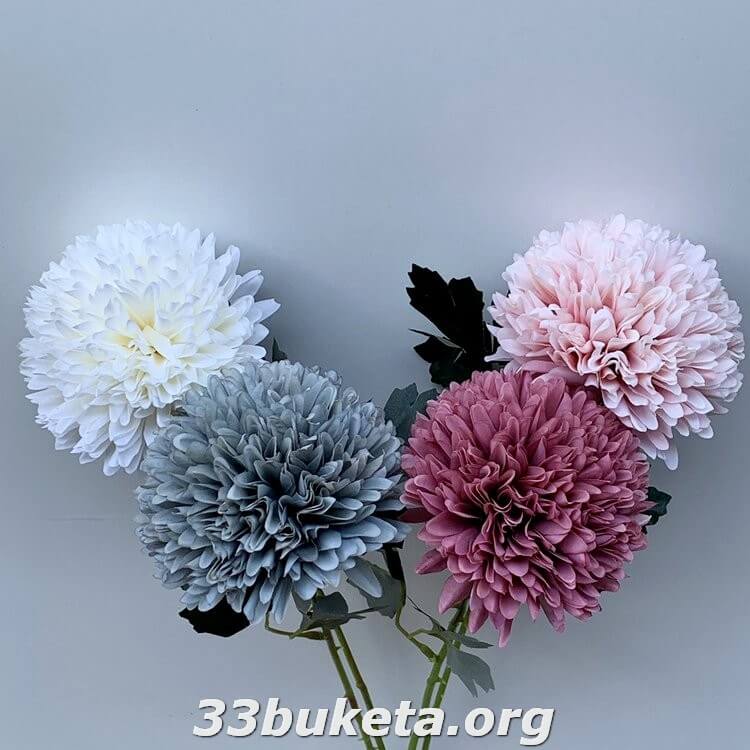 Аллиум