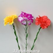 Гвоздика