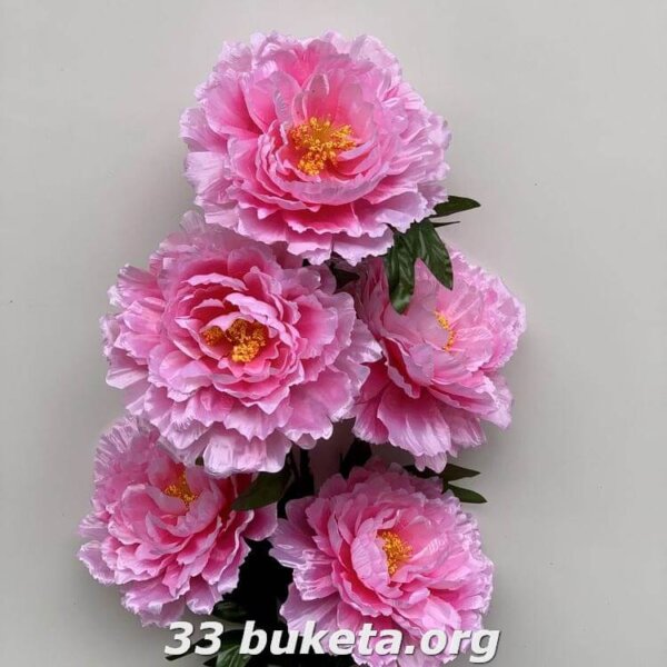 33 33