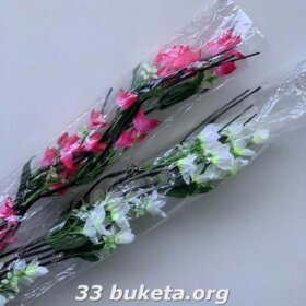 Лоза с крокусом