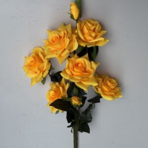 Роза - дерево 0892