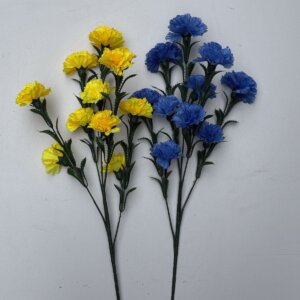 Гілка гвоздики