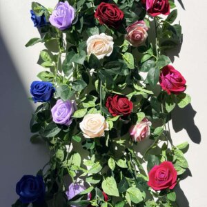 Ланцюжок троянда оксамит