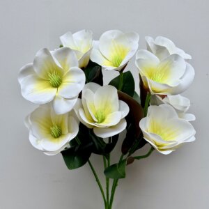 Магнолія латекс не прес. 937