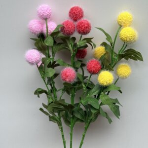 Краспедія 077