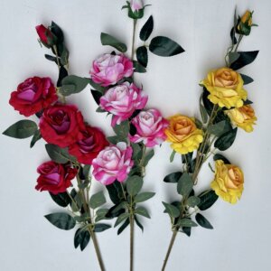 Троянда оксамит О-42