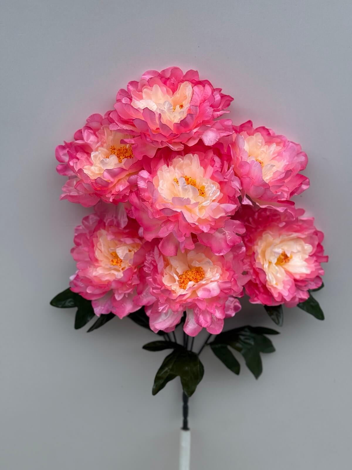 Пион гигант не прес. атлас. 857. Д-22см.