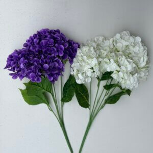 Гортензія латекс 0828