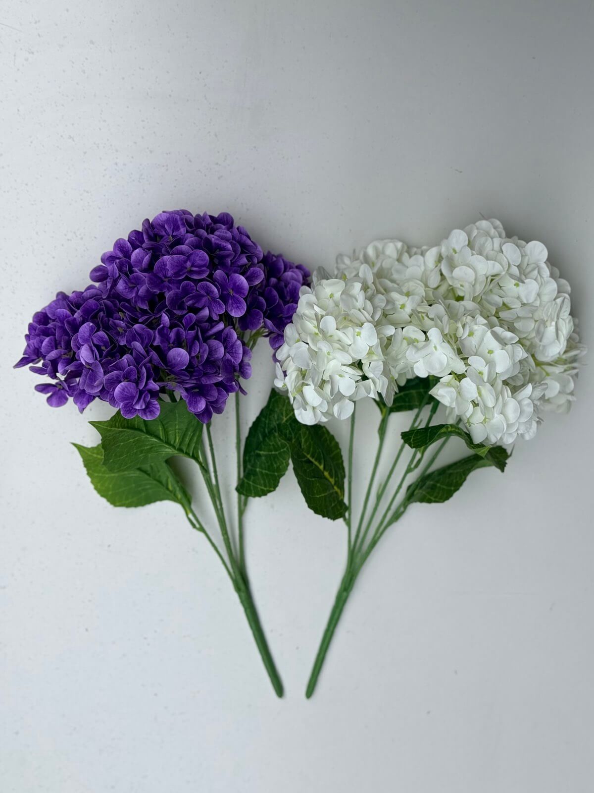 0-02-05-7f26db28552ff570df35faedd24268b22bc7bd3628150c0513b74433d6bd9032_a5c7f09888d63c21