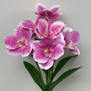 Мальва латекс не прес. 0425 Д-10см.