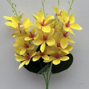 Клематіс латекс не прес. 936.