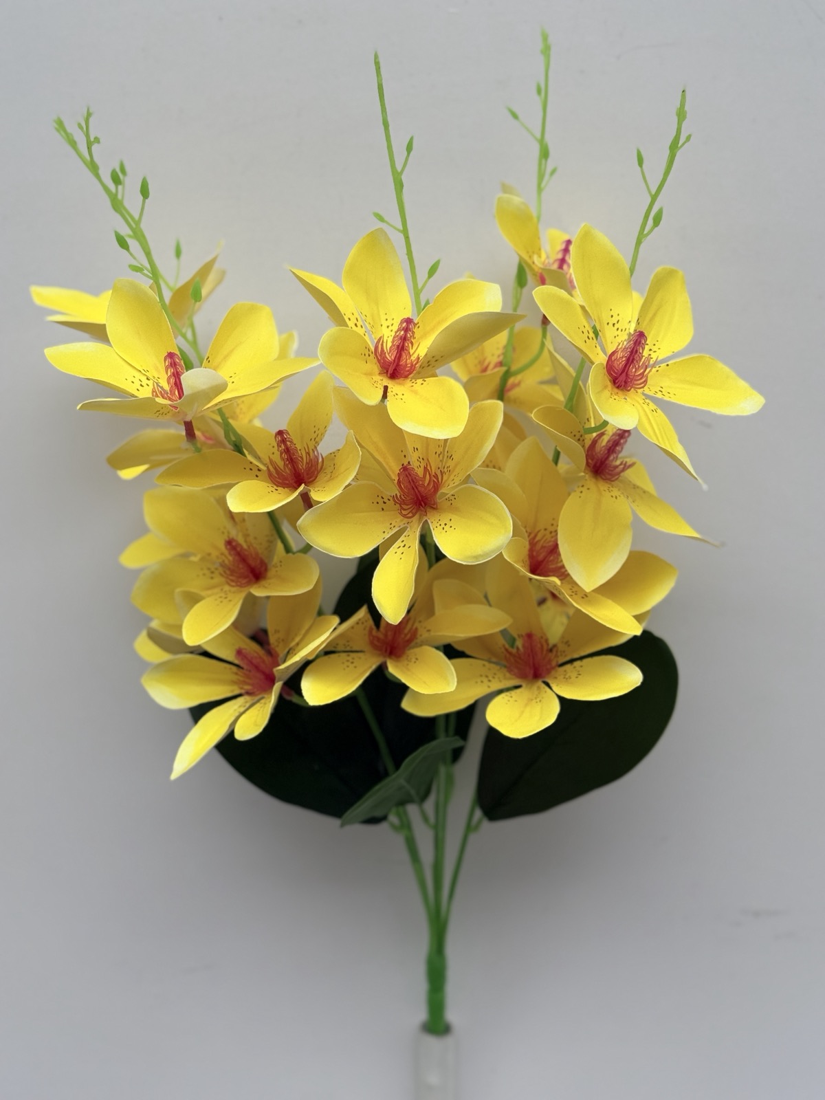 0-02-05-5c1a7cfc9bac402f5a49660c03fc9a64423163083c590363f62105c03bedfd63_fc8fd008a0e88912