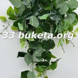 Ліана кущова 24-520