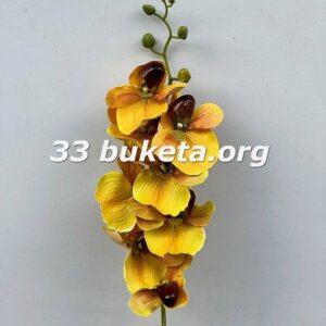 Орхідея латекс OL-435 А