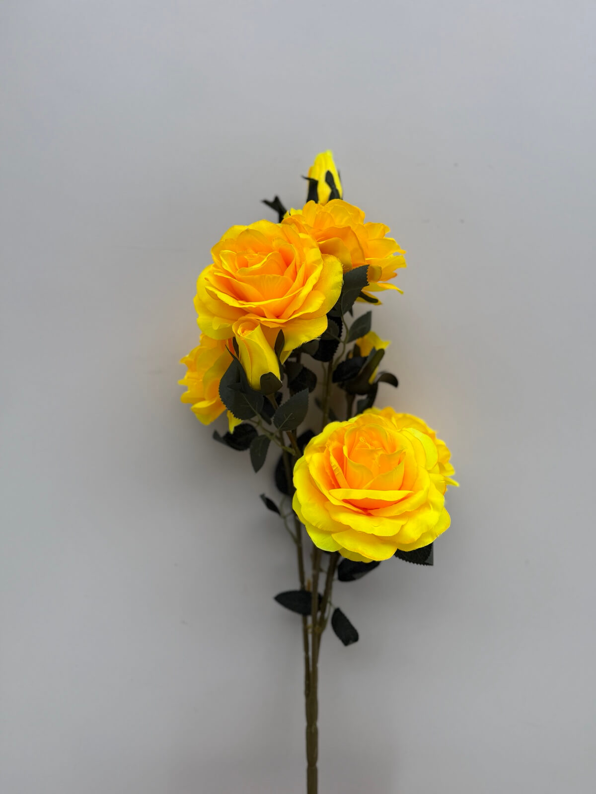 0-02-04-f6f5177209d3375e4163eec06a6b08f49a63ce0bc941e649a5352591c068b930_d4b03263305fceb8