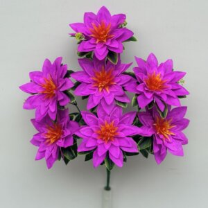 Астра не прес. 869.